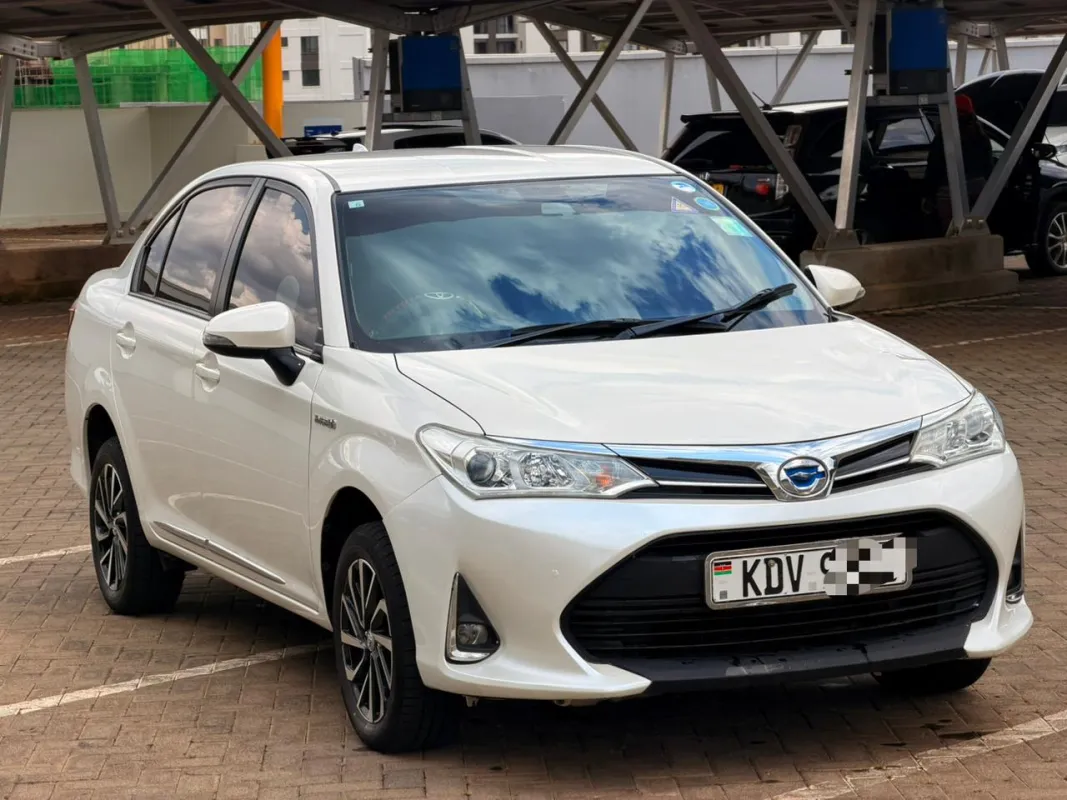 2019 Toyota Axio Sedan